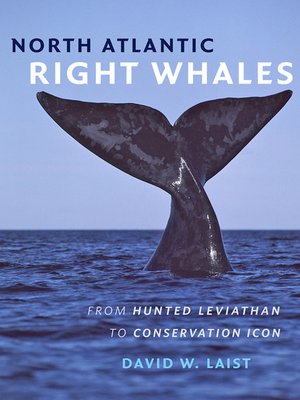 cover image of North Atlantic Right Whales